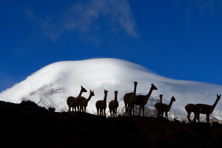 peru9