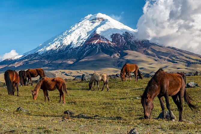 peru9